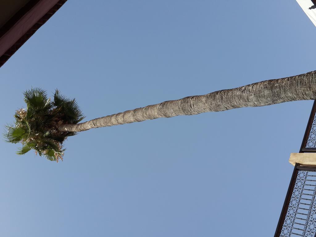 Hotel Cecil Marrakesh Eksteriør billede
